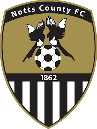 https://img.getpanion.com/img/football/team/9e230c89a846b9cadf91884918fa7611.png